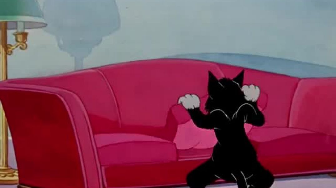 ⁣funny tom and jerry clip ???