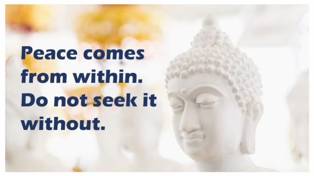 ⁣Best Buddha Quotes _ Positive Thoughts _ Quotes for the Day