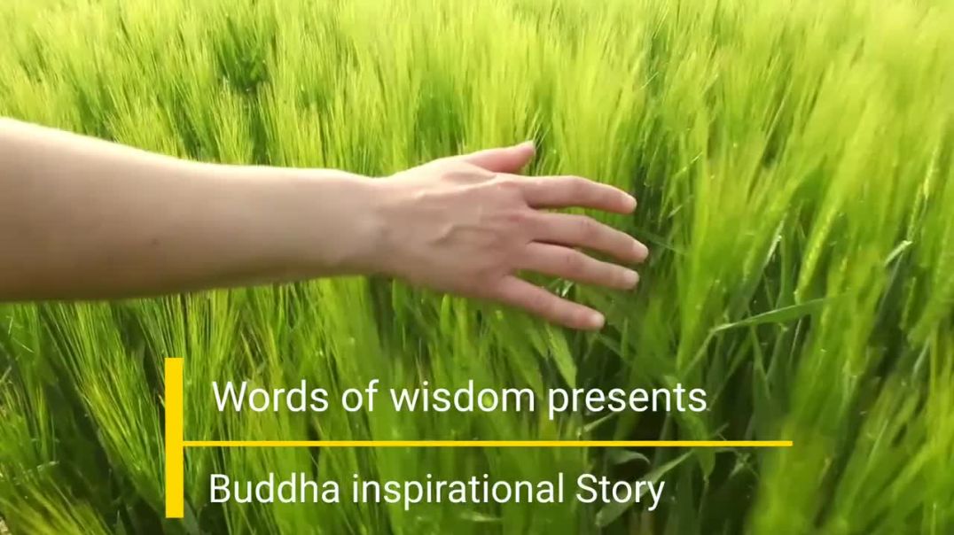 Buddha story about how to calm your mind _ Buddha story _