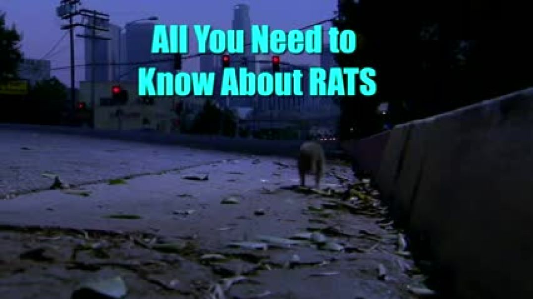 All You Need to Know About RATS