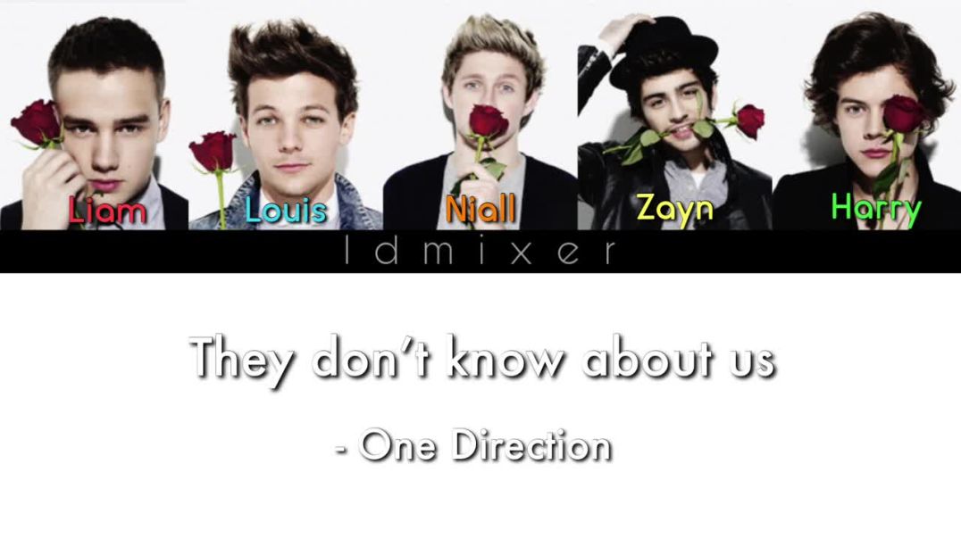 One Direction  They Dont Know About Us Color Coded Lyrics