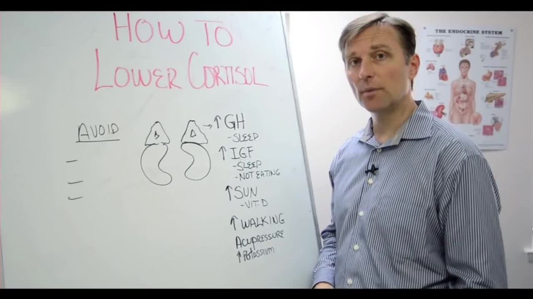 How To LOWER Cortisol Levels