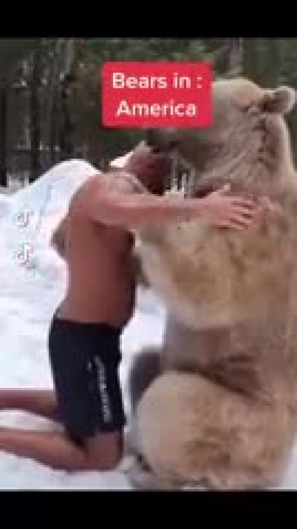 bears_in_america_vs_russia_shorts_h264_61056
