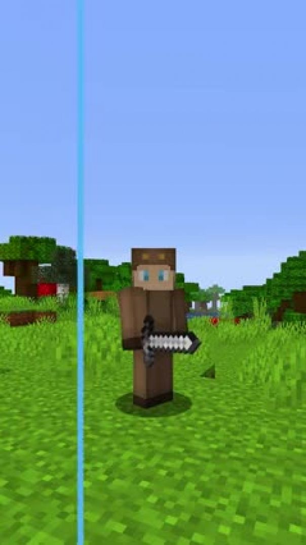 new_swords_in_minecraft__shorts_h264_20726