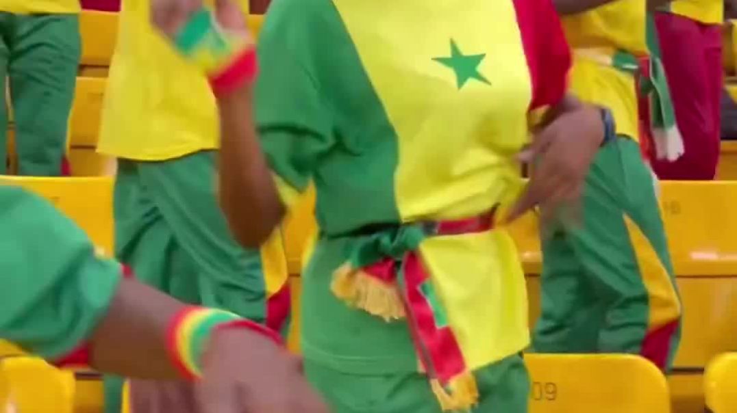 The Senegalese Supporter