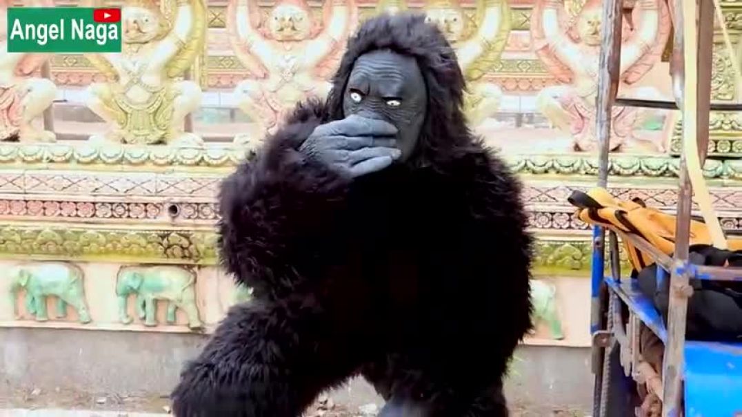 ⁣Best New Prank  Fake Gorilla prank Dogs Make Funny Feeling Dogs  Super Funny