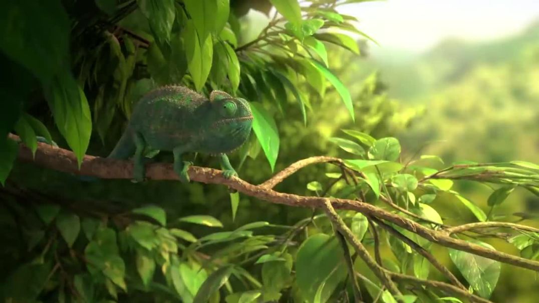 ⁣CG Short film Our Wonderful Nature The Common Chameleon  by Tomer Eshed