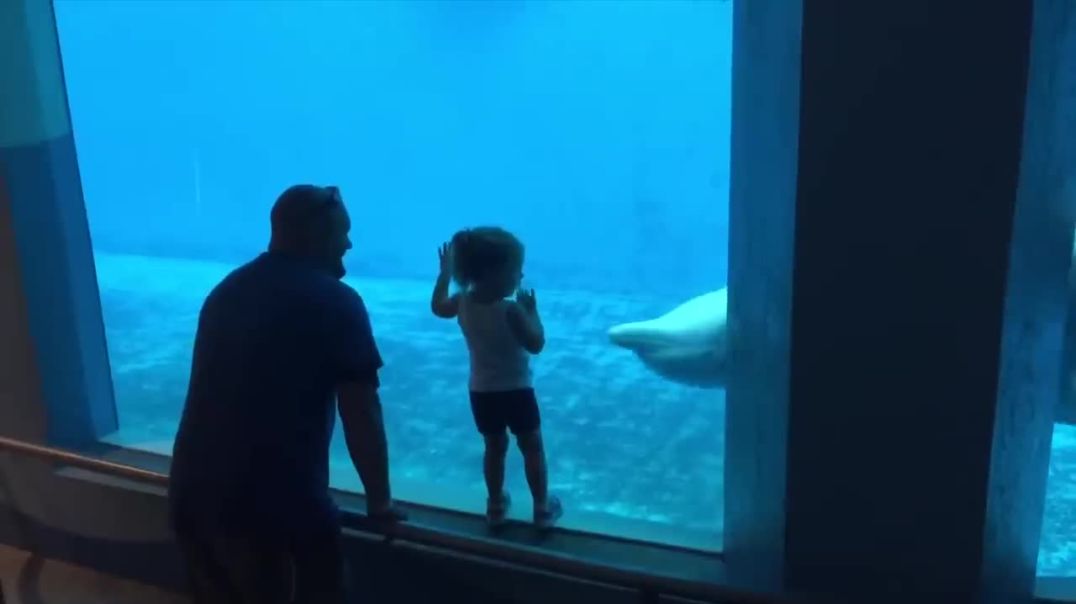 ⁣Funny Kids at the Aquarium Girl SPOOKED By A Beluga Whale!