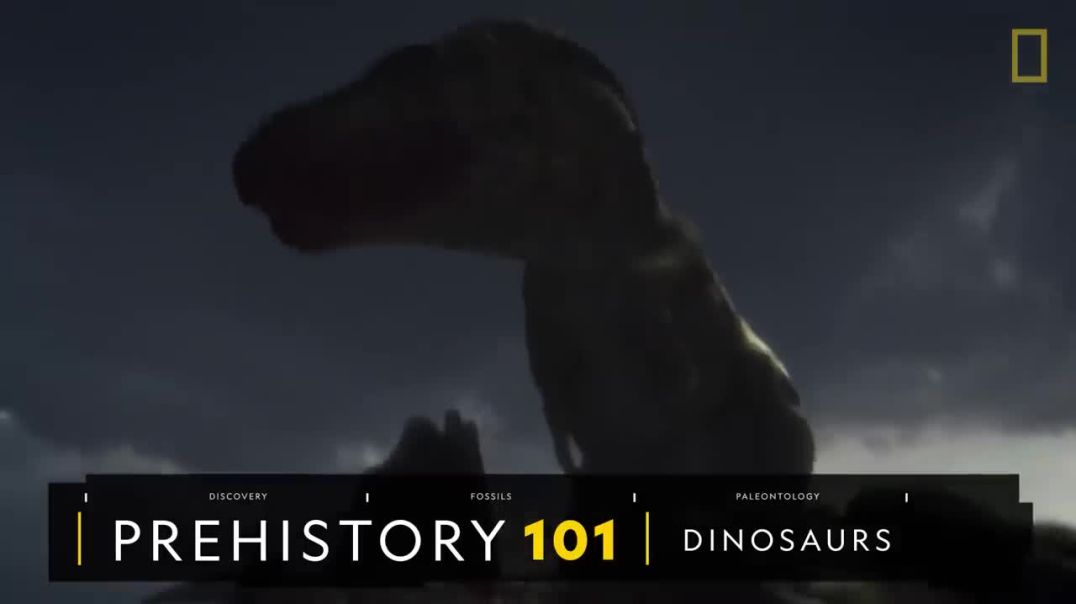 ⁣Dinosaurs 101  National Geographic
