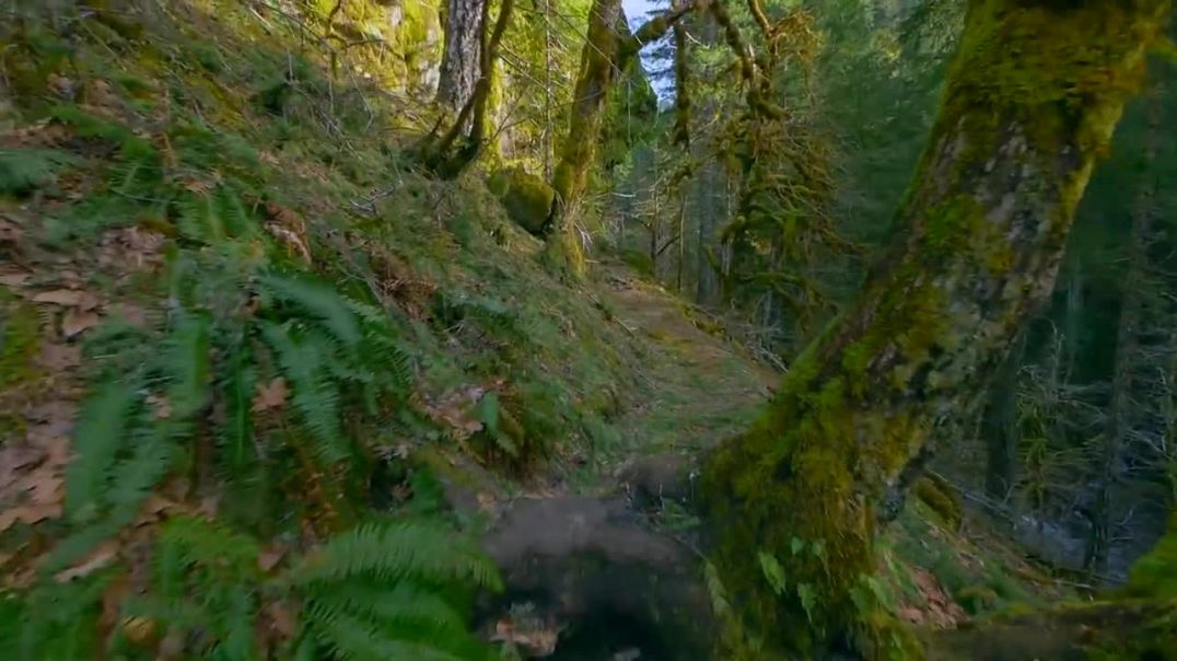⁣Eagle Creek Trail - Oregon USA  Stunning Footage