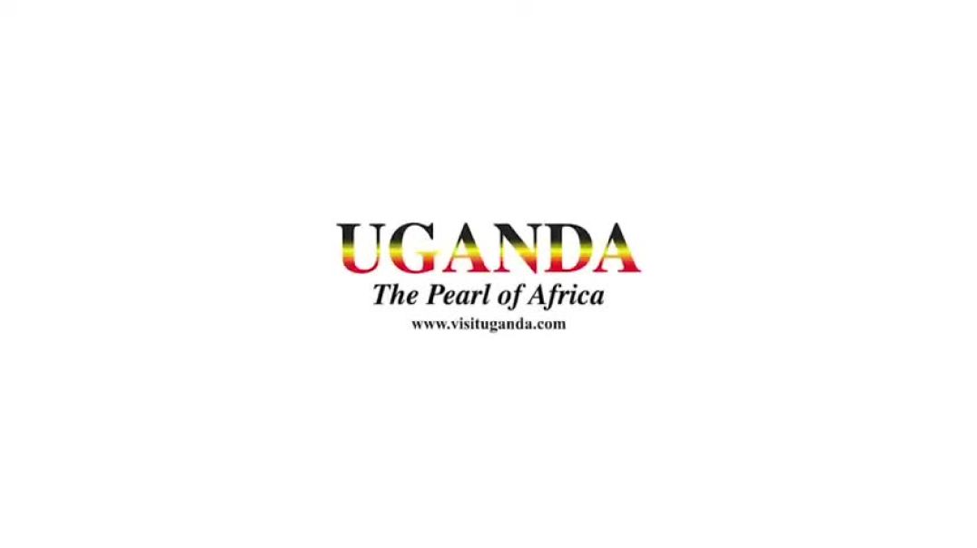 ⁣2020 Uganda Safari video by Uganda Tourism Board UTB Reminder Stayhome  Juvenile Safaris