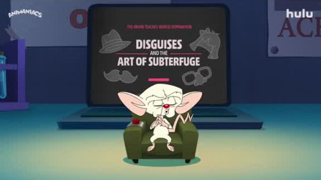 ⁣Animaniacs x MasterClass | Ep. 3 Disguises and the Art of Subterfuge | Hulu