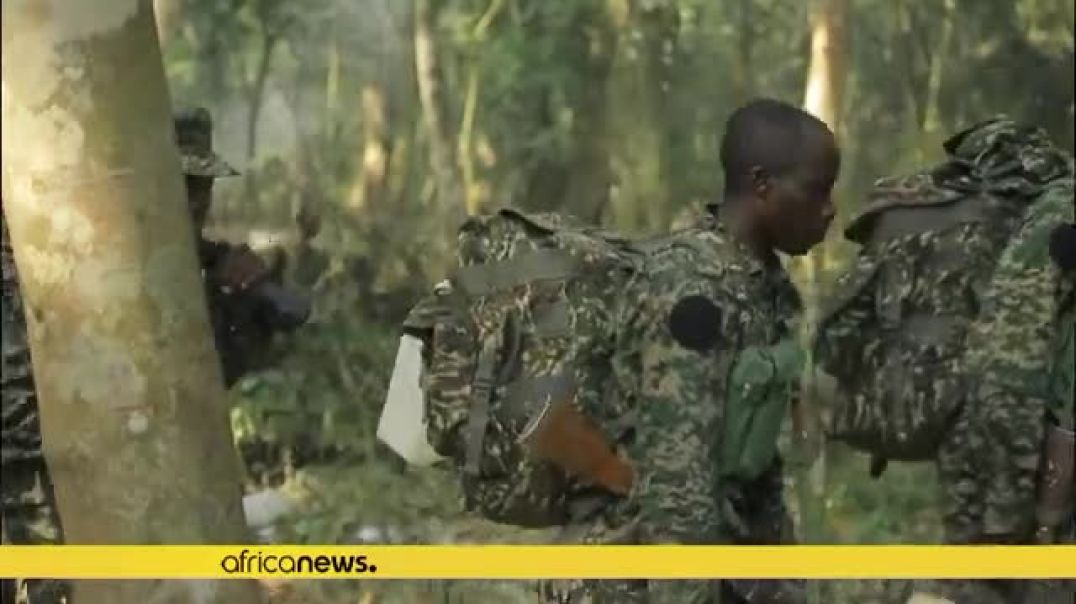 Uganda says its operations in Congo have killed 567 ISallied fighters