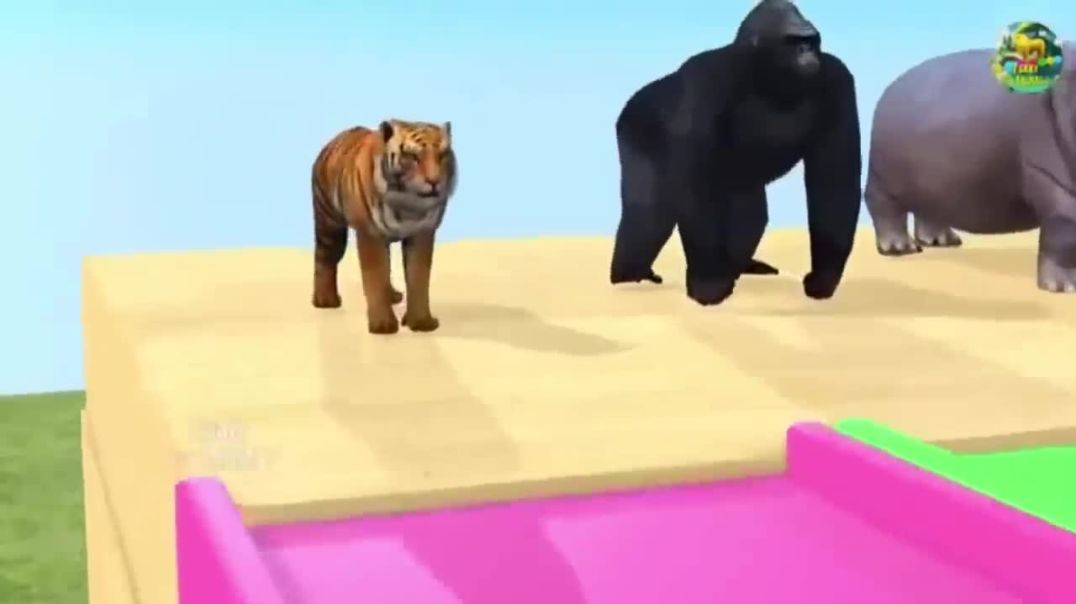 Long Slide Game With Elephant Gorilla Buffalo Hippopotamus Tiger