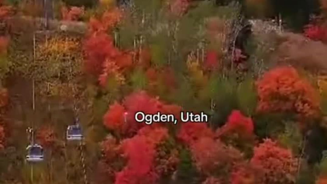 ⁣Fall foliage across the U